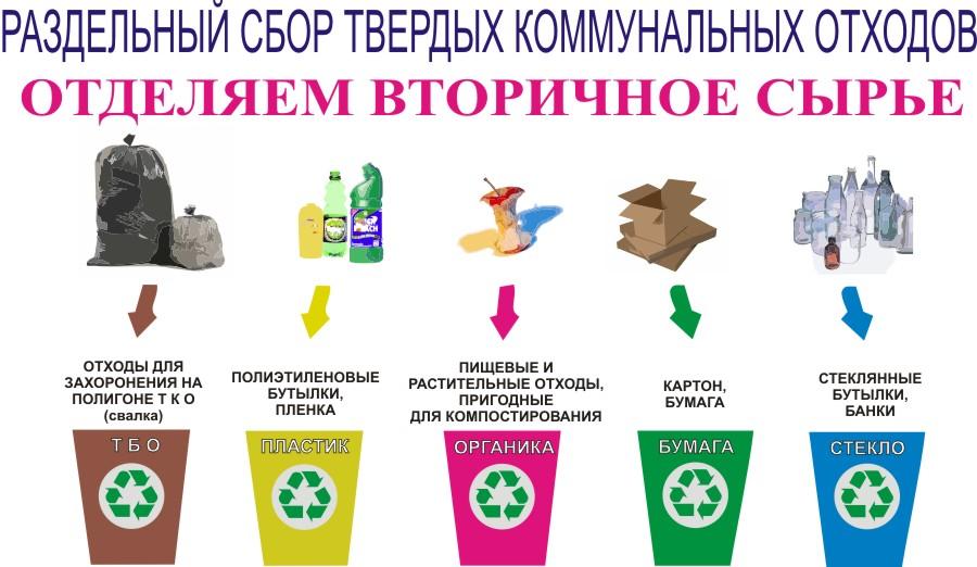 Ecological life