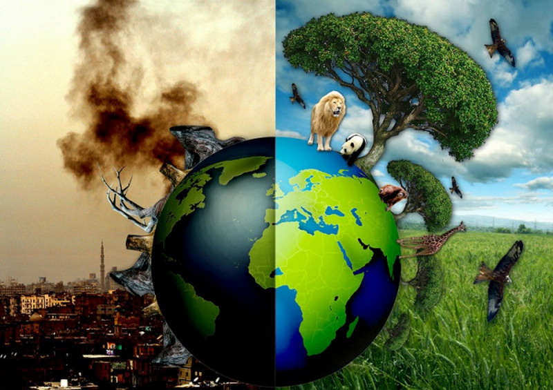Let's take care of nature!!!