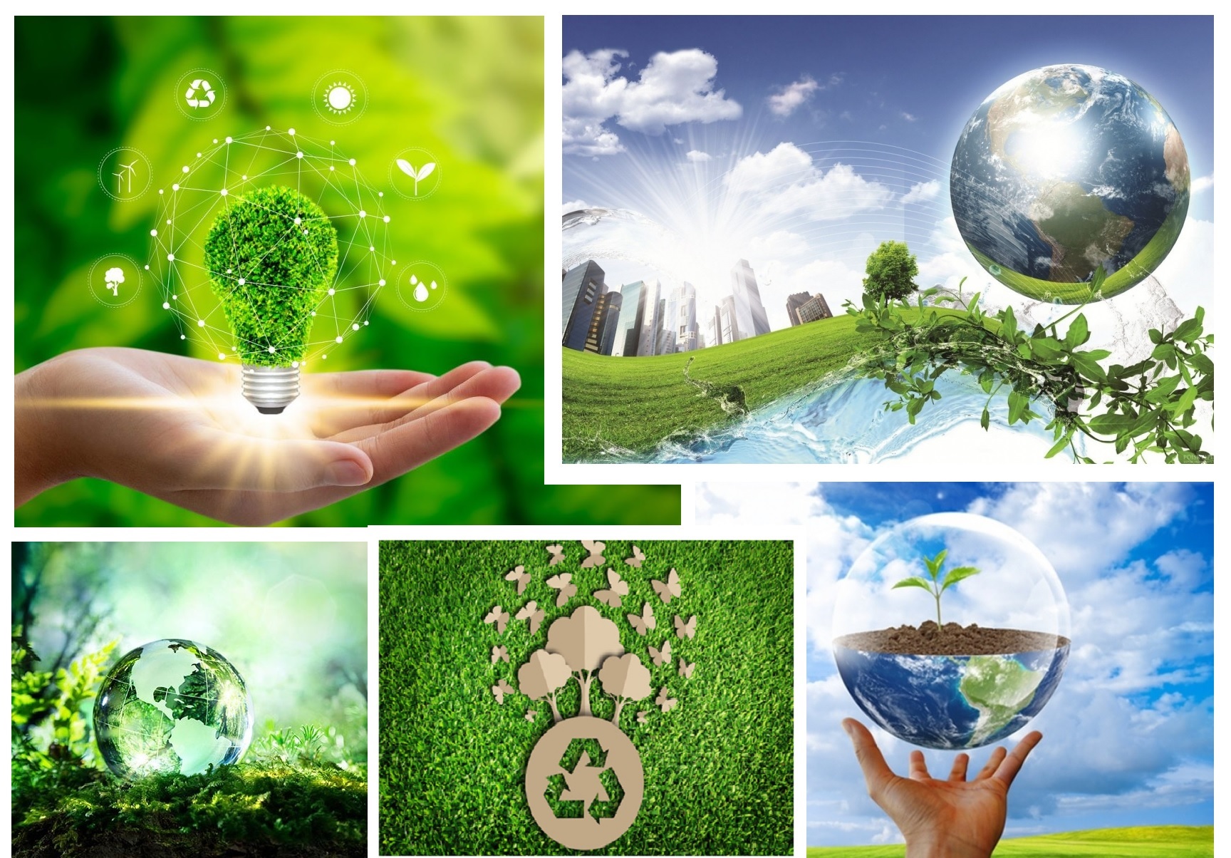 5 June - World Environment Day