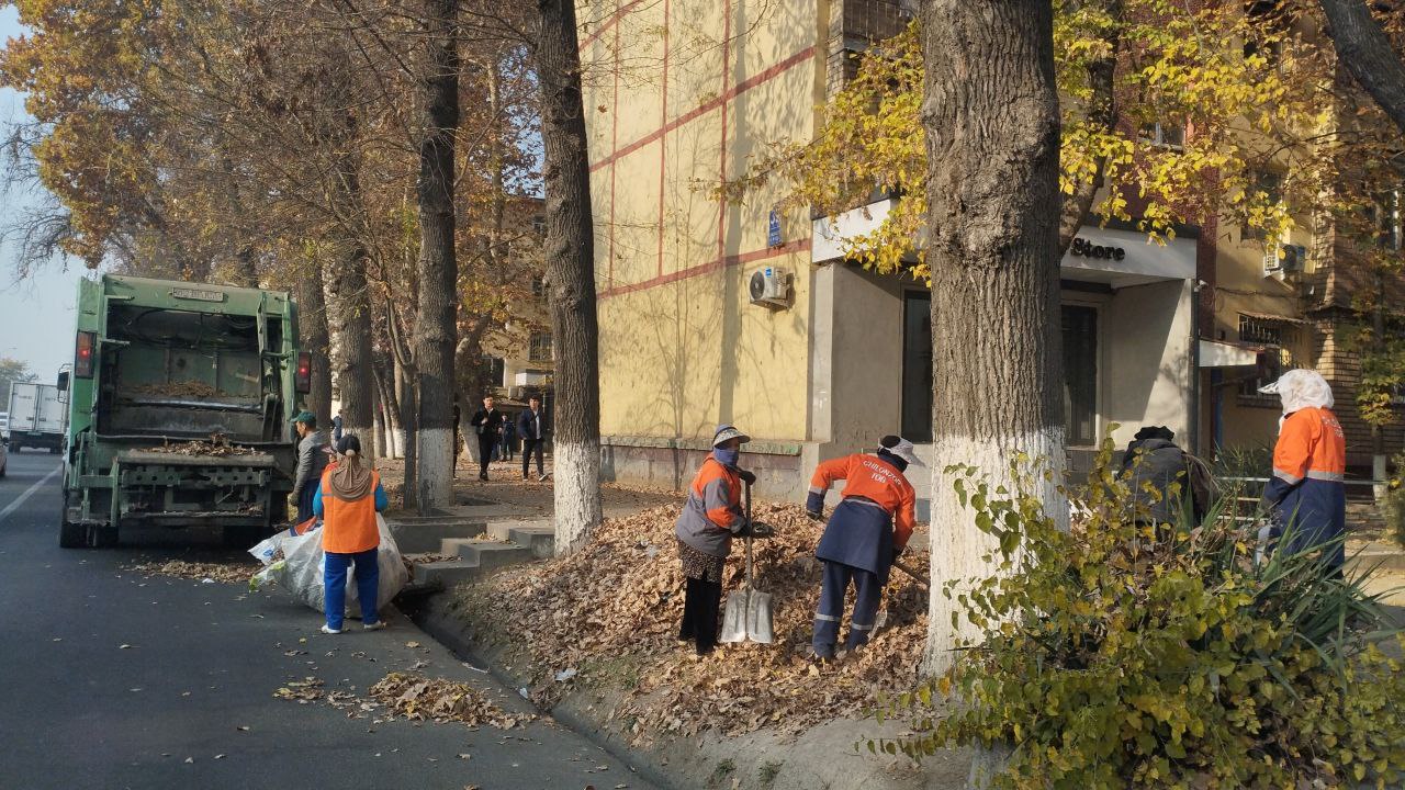 Месяц чистоты и опрятности
